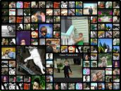 Бодя Бабінець фотография #37 (источник - https://vk.com/id146882189)