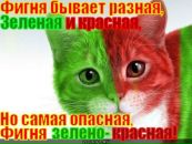 Фотография Валентина Дедурова