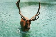 Фотография Токаревой Нелли