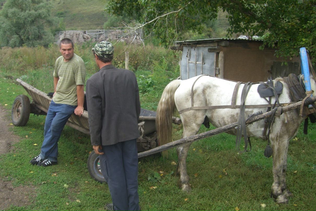 Лина Ли фотография #40