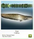 Ростік Бойчук фотография #7 (источник - https://vk.com/id88495830)