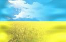 Надія Шевчук фотография #30 (источник - https://vk.com/id33406409)