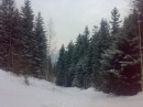 Віка Стефанюк фотография #50 (источник - https://vk.com/id71154160)