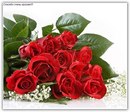 Вікусік Кукусік-Паленга фотография #39 (источник - https://vk.com/id170560536)