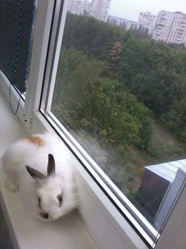 Shnyfel @) фотография #27