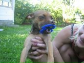 Фотография Беловой Алёны