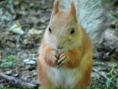 Фотография Агаховой Натальи