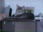 Вера Петровец фотография #33 (источник - https://vk.com/id36439799)