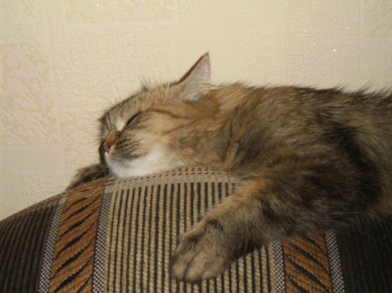 Женя Дмитриев фотография #25