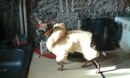 Τатьяна Κапустина фотография #29 (источник - https://vk.com/id166772794)