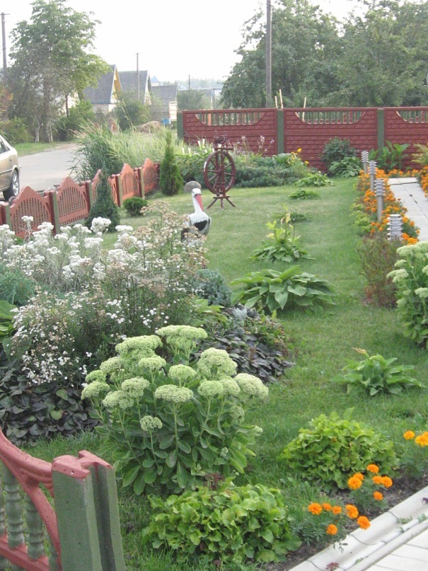 Dima Laptenok фотография #19