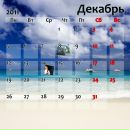 Діана Мотика фотография #20 (источник - https://vk.com/id135739218)