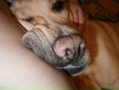 Фотография Янг Ксении