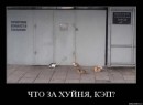 Андрій Піхурко фотография #24 (источник - https://vk.com/id16113506)