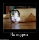 Андрій Піхурко фотография #28 (источник - https://vk.com/id16113506)