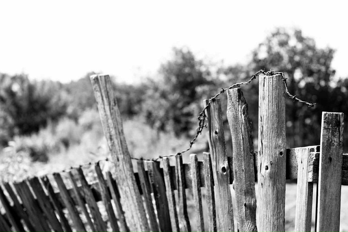 Дмитрий Быков фотография #38