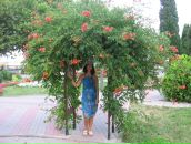 Фотография Васильевой Анастасии