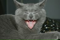 Фотография Нестеровой Юлии