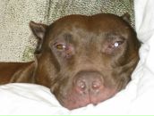 Фотография Бабцовой Светланы