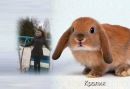 Екатерина Фомина фотография #2 (источник - https://vk.com/id131529293)