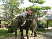 Фотография Москвиной Алены