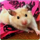 Ірина Цімер фотография #34 (источник - https://vk.com/id161227445)