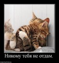 Аліна Цехмістер фотография #33 (источник - https://vk.com/id34642795)