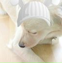 Фотография Гавриловой Екатерины