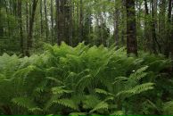 Павел Волк фотография #45 (источник - https://vk.com/id470503)