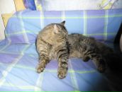 Фотография Андроновой Екатерины