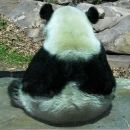 Фотография Соколовой Гражданки