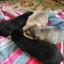 Фотография Зуевой Марии