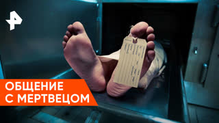 «Наука и техника»: общение с мертвецом